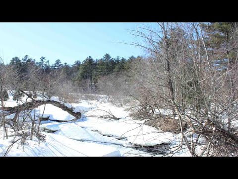 00 Daniel Webster Highway, Plymouth, NH Presented by Sara Holland.