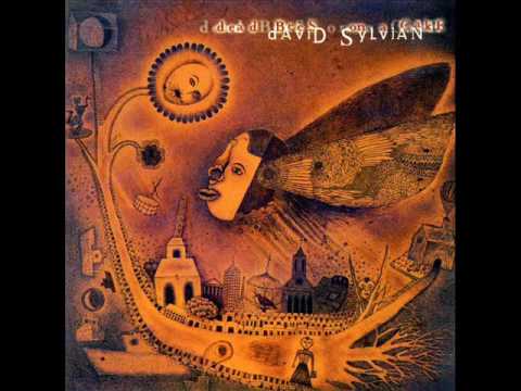 Midnight Sun cover