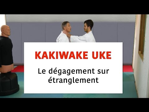 Karate: Kakiwake Uke, To break free from strangulation [karate-blog.com]