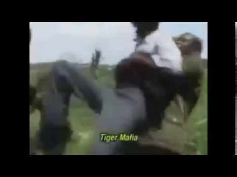 Tiger Mafia Super Kicker