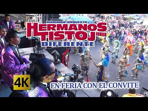 download lagu mp3 mp4 Marimba Orquesta Hermanos Tistoj Playa Colora, download lagu Marimba Orquesta Hermanos Tistoj Playa Colora gratis, unduh video klip Marimba Orquesta Hermanos Tistoj Playa Colora