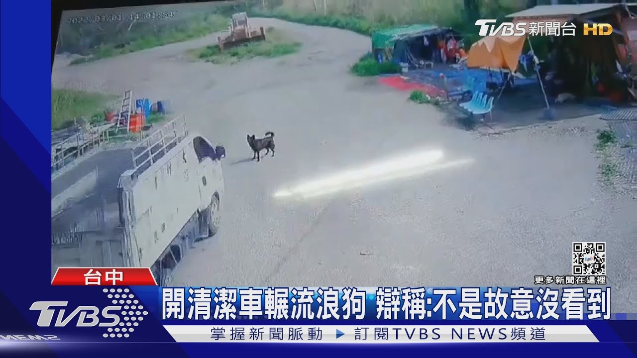 開清潔車輾流浪狗　辯稱：不是故意沒看到