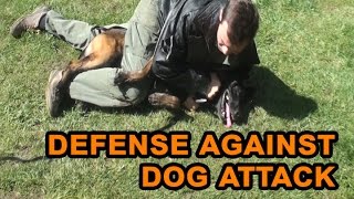 How to defend against a dog. Self defense against dog attack