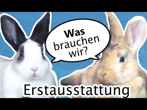 , title : '🐰 Kaninchen ERSTAUSSTATTUNG 💖Was braucht man für den Start? 🐾 Wohnungshaltung'