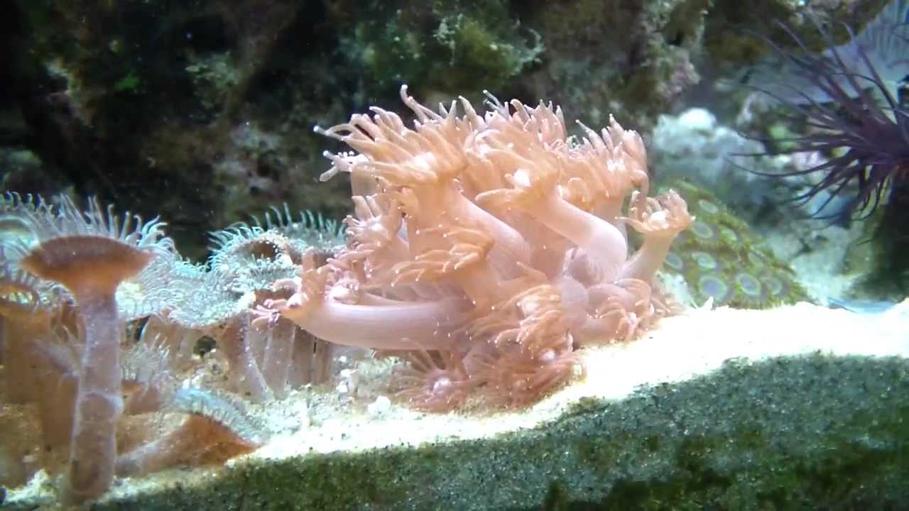 Il mio piccolo mondo