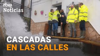 Thumbnail del capítulo