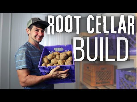 Off-Grid FOOD STORAGE - DIY Basement ROOT CELLAR BUILD