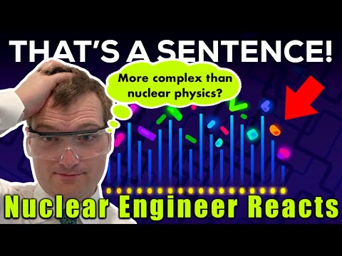 Nuclear Engineer reacts to Kurzgesagt "You are an Impossible Machine"