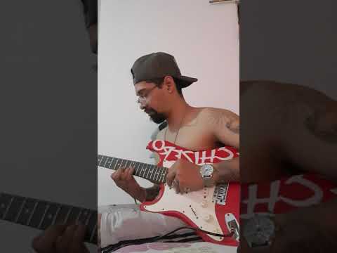 siete lunas (Prende Fuego ya) para perro caniche