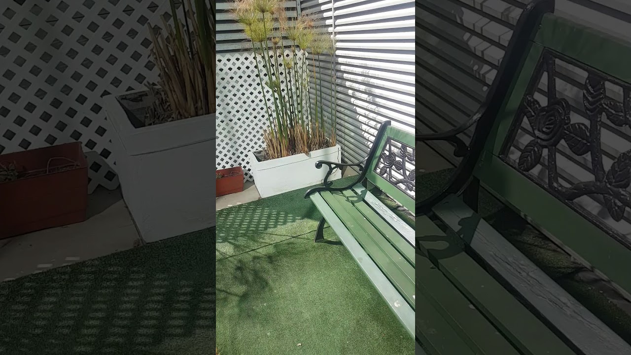 Maria Fernanda Bustos Pacheco-5