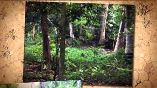 preview picture of video 'Iriga Residential/Agricultural Lot'