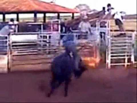 Wallison X Gato Preto