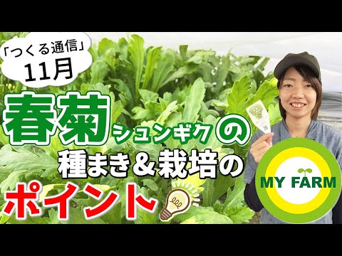 チャイブの種まき方法は？この多年生植物の栽培について知っておくべきことすべて  庭園