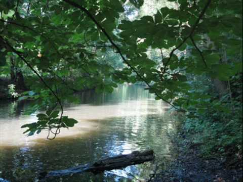 In The Shade Of The Old Apple Tree: Ramblin' Jack Elliott