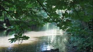 In The Shade Of The Old Apple Tree: Ramblin' Jack Elliott