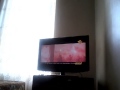 Xnxx Video