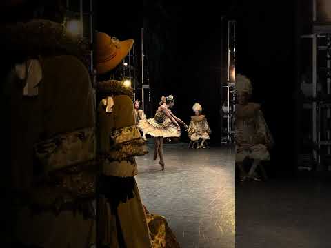 The Sleeping Beauty: Fairy of the Golden Vine | English National Ballet