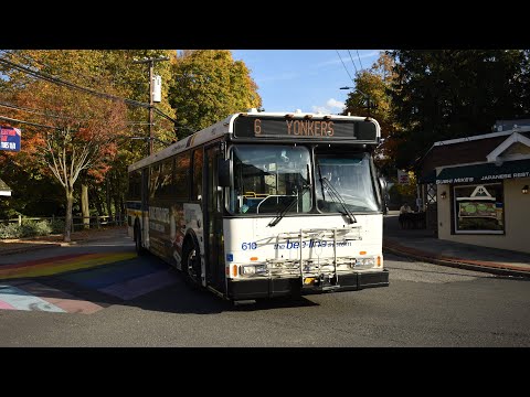 Bee line routes 1, 5, 6, and 66 action in Irvington, Dobbs Ferry, and Ardsley 11/4/22