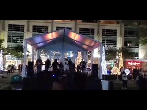 Tennessee Whiskey - The Mockingbirds Live (Parties, Weddings & Event Band)