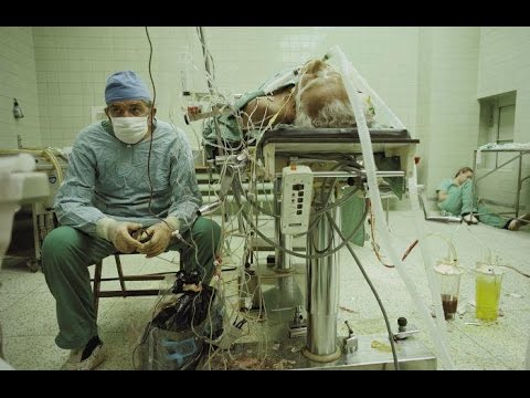 download lagu mp3 mp4 Motivation For Pre Med Students, download lagu Motivation For Pre Med Students gratis, unduh video klip Motivation For Pre Med Students