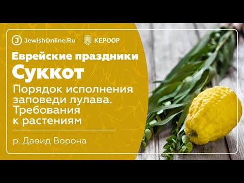 Еврейские праздники: Суккот. Урок 7: Порядок исполнения заповеди лулава. Требования к растениям