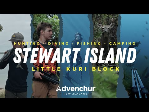 Stewart Island Hunting, Diving, fishing and camping adventure