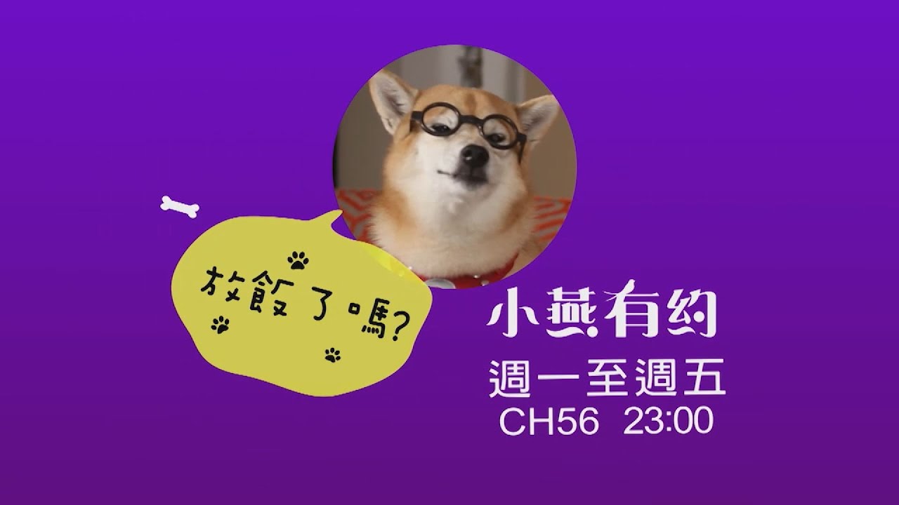 超吸睛！張小燕新節目宣傳　柴犬「Q將」也出動