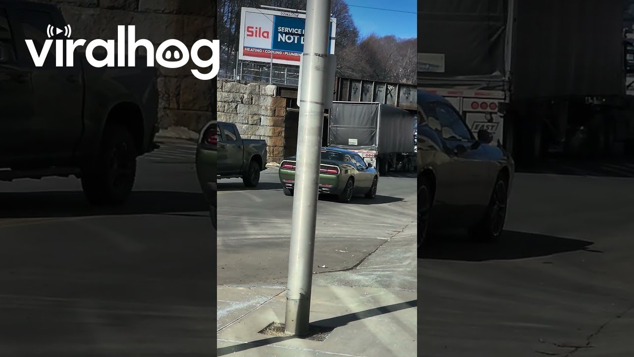 Truck Tries To Squeeze Under Bridge As Train Passes Overhead || ViralHog