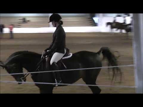 140511 Cascade - AHA Hunter Seat Equitation Medal JTR