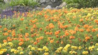 James Galway: My Homeland (Teiichi Okano)