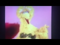Big Bird Singing A Lullaby To Radar