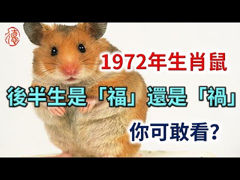 1972年屬相