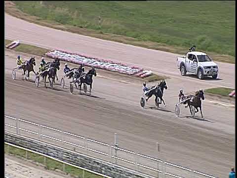 Trotto 15/06/2019 - 1ª corsa