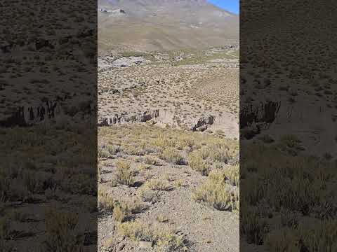 vue sur le #volcan #granada, #jujuy, #argentina.