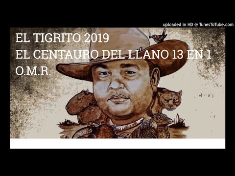 13 EN 1 EL TIGRITO DE MATANEGRA 2019 - EL CENTAURO DE LA SABANA - OMR