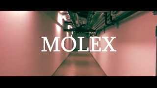 MOLEX - You&Me (MusikVideo)