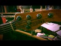 Celinder PJ 5 Bass First Impression