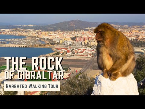 The Upper Rock, Gibraltar | 4K Narrated Walking Tour | Let's Walk 2023
