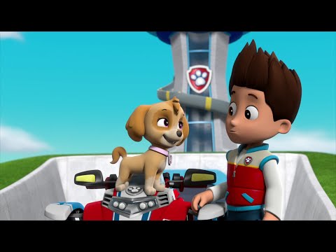 Skye Watches Ryder - Paw Patrol