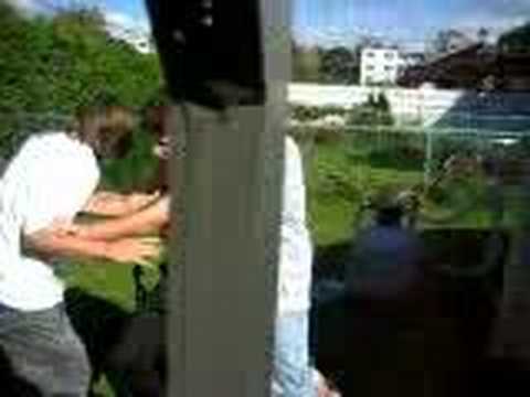 Attempt number 1 - guigui in the pool