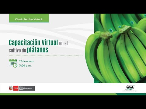 , title : 'Capacitación Virtual en el cultivo de plátanos'