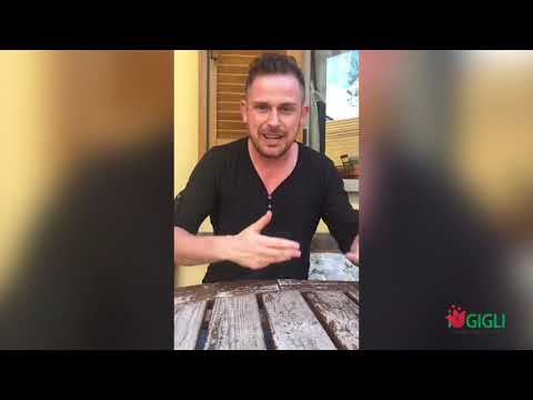 Lorenzo Branchetti Ospite speciale a Bailando ai Gigli