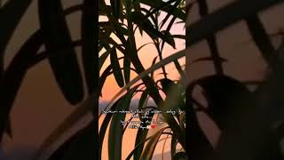 Download lagu Story WA zivilia - Pintu taubat mp3 Download lagu Story WA zivilia - Pintu taubat mp3