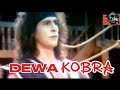 Jurus Dewa Kobra Si Rawing III 1994 BARRY PRIMA FULL MOVIE