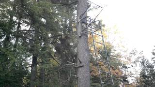 Comfort Zone Lookout Deluxe Ladder Tree stand from Dick's Sporting Goods