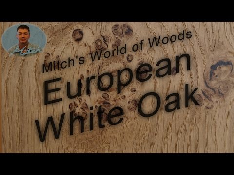 download lagu mp3 mp4 European White Oak Vs American White Oak, download lagu European White Oak Vs American White Oak gratis, unduh video klip European White Oak Vs American White Oak