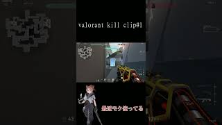 #shorts  valorant killclip#1