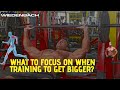 What to Focus on When Training to get Bigger!