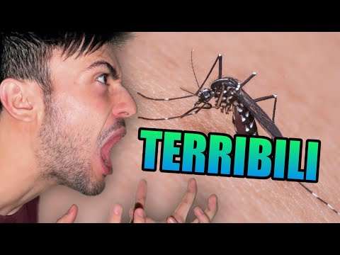 5 CURIOSITÀ TERRIBILI sulle ZANZARE!🦟🔥