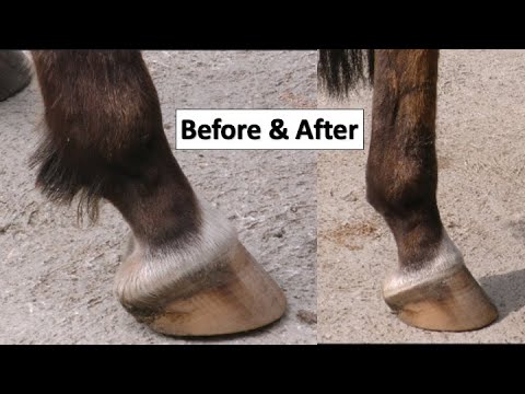 Why is Farouk so good when being Clipped?😇